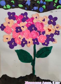 128Жуковская Алиса